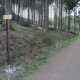 <p>Lanškrounské rybníky, běžecké okruhy - cesta po lesní cestě</p>